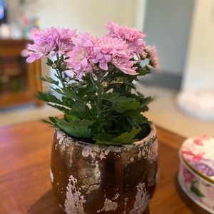 Meet your Posher, Christine